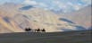 Hunder Camel Ride